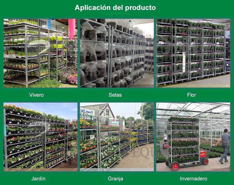 product-920-720 product-920-720