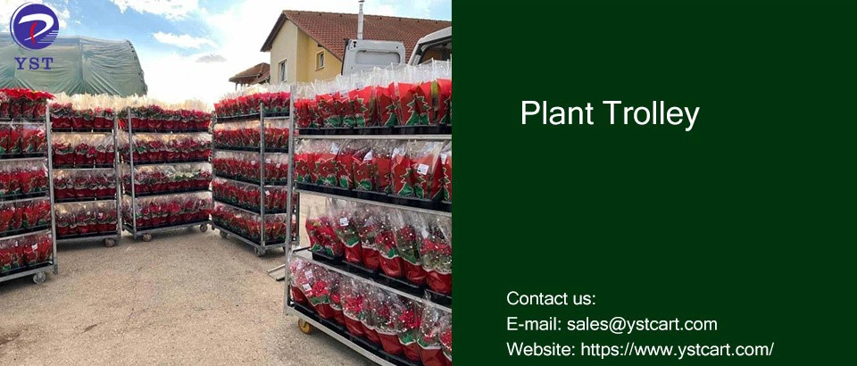 Plant Trolleys 4 Plant Trolleys 4