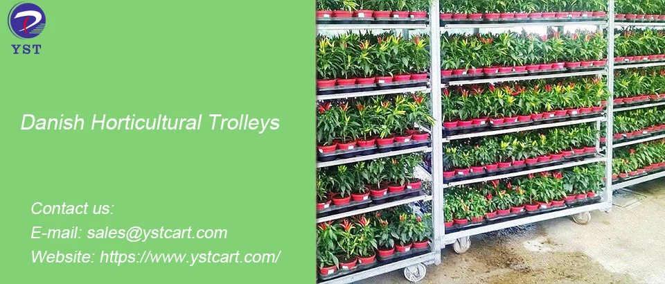 Danish Horticultural Trolleys-9 Danish Horticultural Trolleys-9