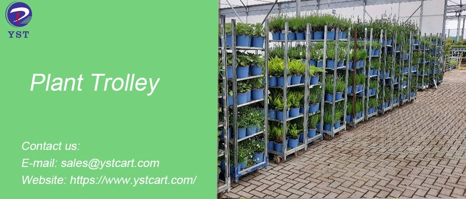 Plant Trolley-13 Plant Trolley-13
