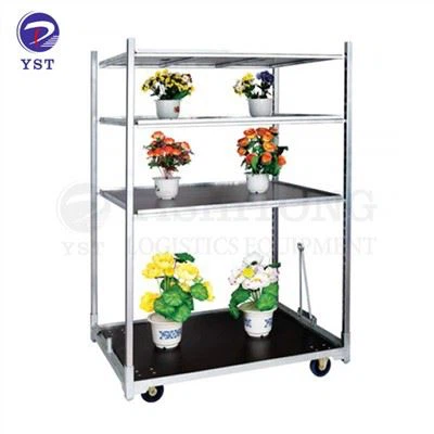 Nuevo carro holandés