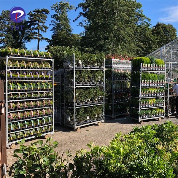Carro De Plantas