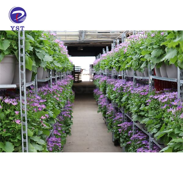 Estante de envío de flores para carrito
