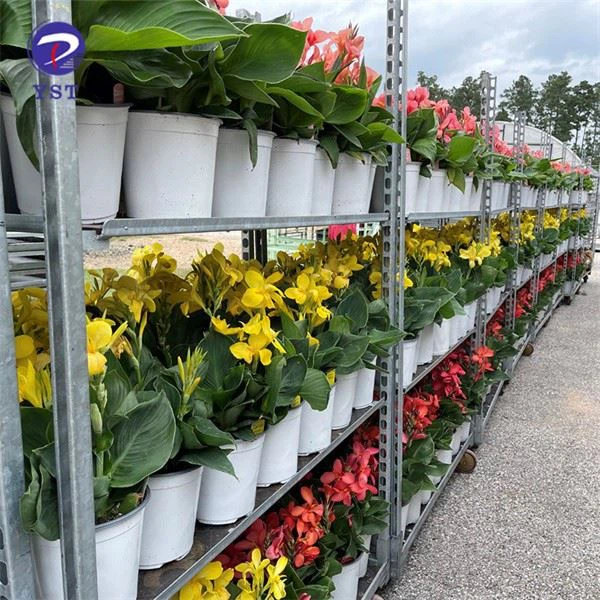 Flower Logistics Carts