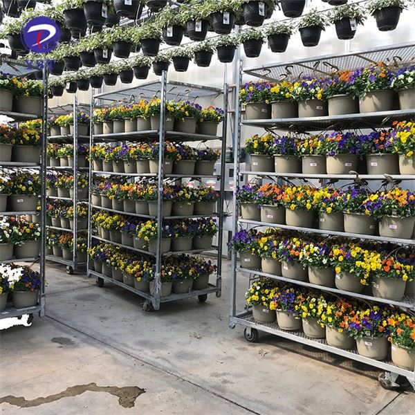 Greenhouse Galvanized Flower Carts