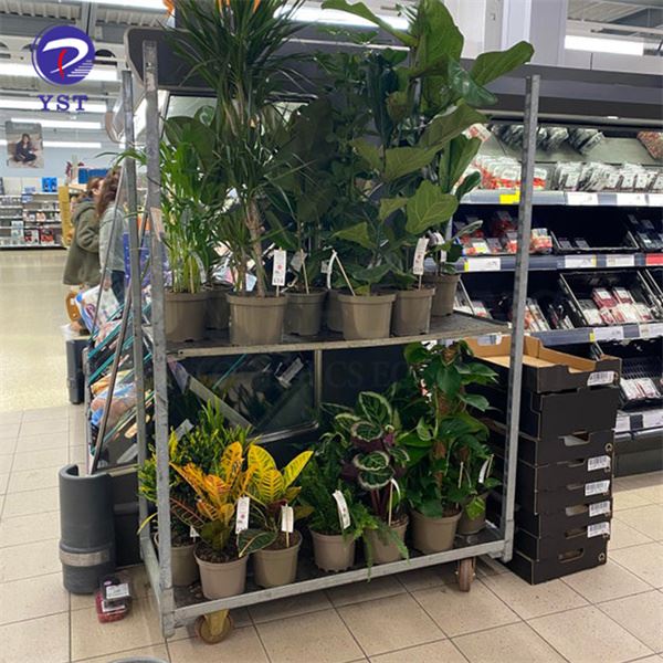 Greenhouse Plant Carts