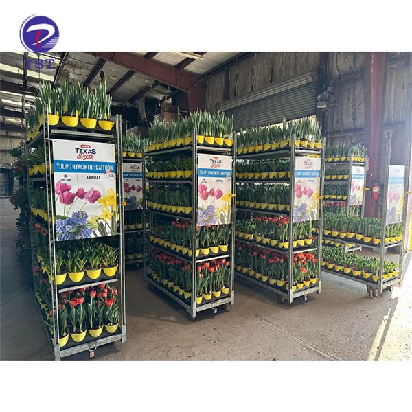 Carros para plantas de invernadero