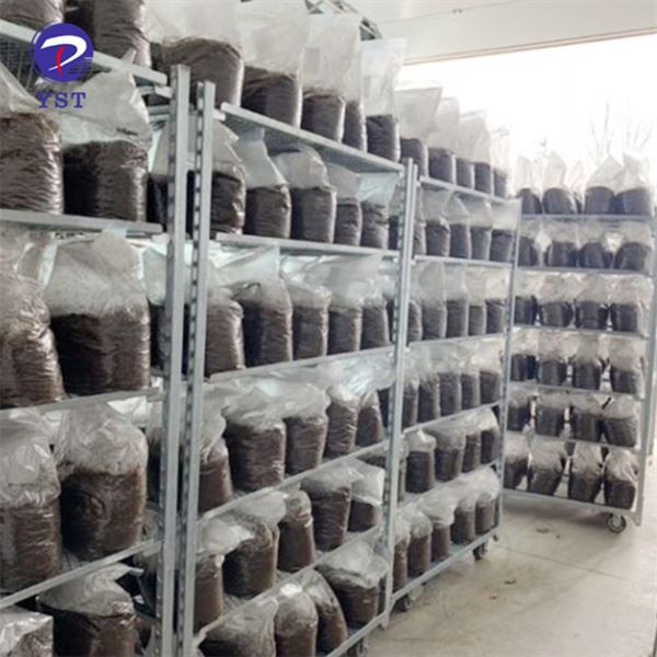 Estante para el cultivo de hongos