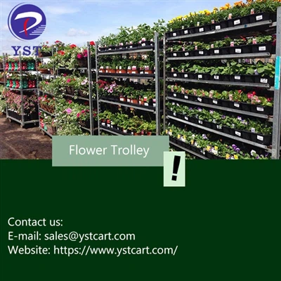 ¿Qué tipo de verduras se pueden cultivar en un carrito de flores?