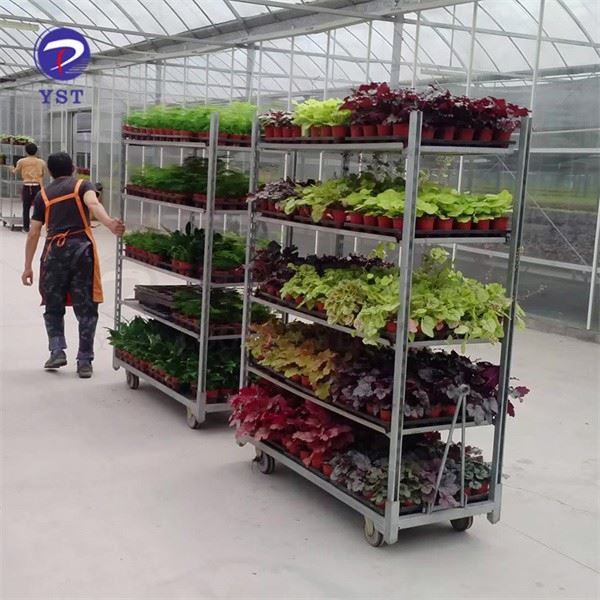 Nursery Transport Trolley