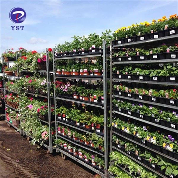 Rolling Nursery Racks