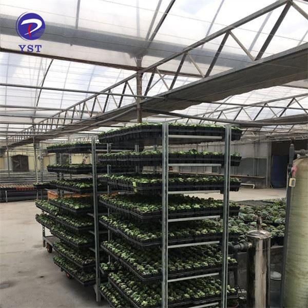 Rolling Nursery Racks