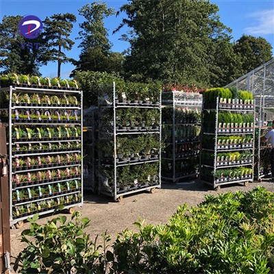 Estantes para carros de invernadero