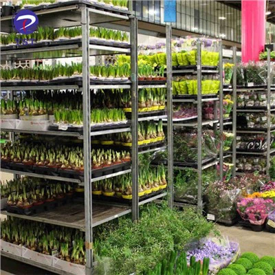 Carro de transporte de plantas de invernadero