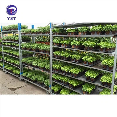 Carros de transporte de plantas de vivero
