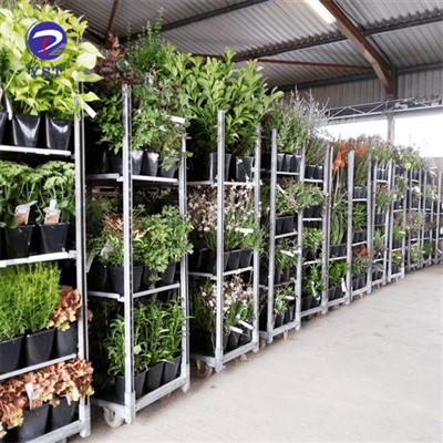 Carro de invernadero para plantas