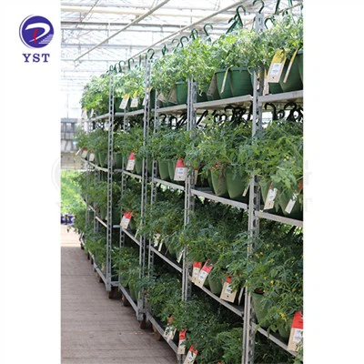 Carros de vivero de plantas