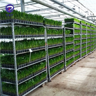 Carrito para plantas de vivero con estantes de polipropileno