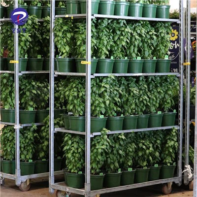 Carro rodante para plantas