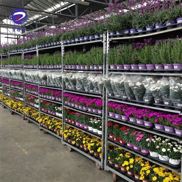 Warehouse Greenhouse Flower Cart