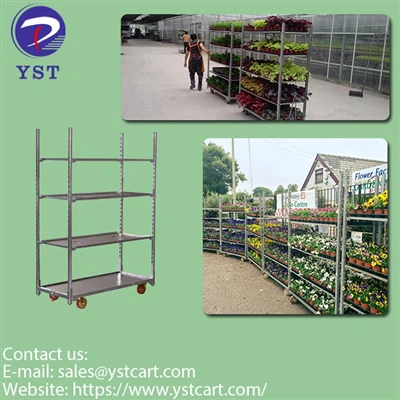 Los numerosos beneficios de utilizar un carrito de vivero para el cultivo en ...