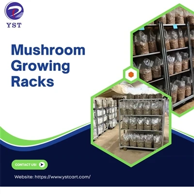 Los beneficios del uso de bastidores de cultivo de hongos